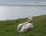 2004 Isole Lofoten 039