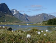 2004 Isole Lofoten 067