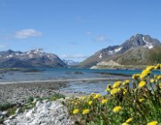 2004 Isole Lofoten 070