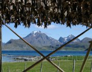 2004 Isole Lofoten 071