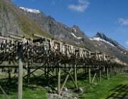 2004 Isole Lofoten 087