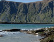 2004 Isole Lofoten 090