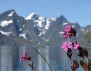 2004 Isole Lofoten 097