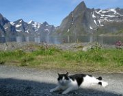 2004 Isole Lofoten 098