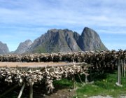 2004 Isole Lofoten 110