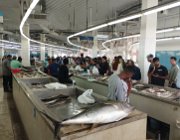 2025 2026 Oman 3249 1