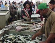 2025 2026 Oman 3249 2