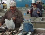 2025 2026 Oman 3249 3