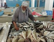 2025 2026 Oman 3249 5