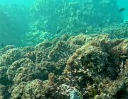 2025 2026 Oman 3369 05