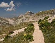 2025 Abruzzo Molise 1174