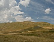 2025 Abruzzo Molise 1201