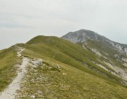 2025 Abruzzo Molise 1265