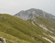 2025 Abruzzo Molise 1275