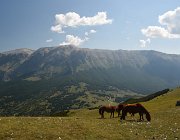 2025 Abruzzo Molise 2063
