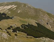 2025 Abruzzo Molise 2073